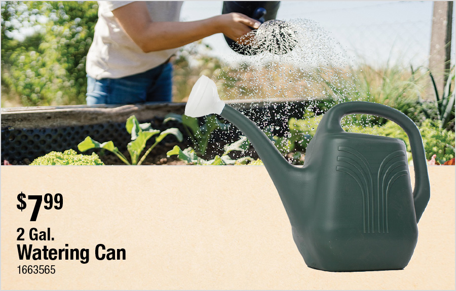 2 Gal. Watering Can